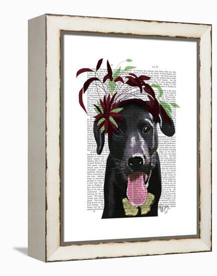 Black Labrador with Green Fascinator-Fab Funky-Framed Stretched Canvas