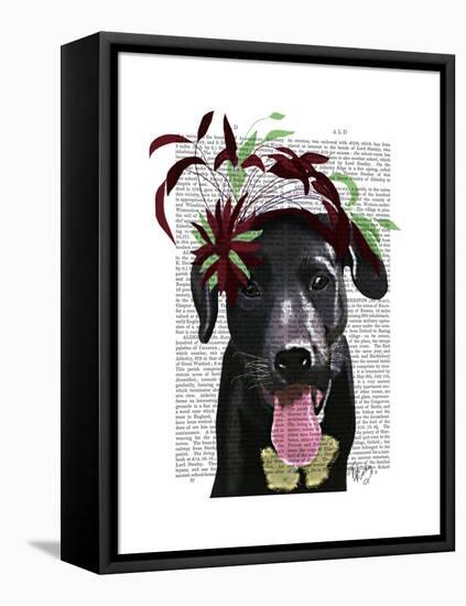 Black Labrador with Green Fascinator-Fab Funky-Framed Stretched Canvas