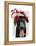 Black Labrador with Red Fascinator-Fab Funky-Framed Stretched Canvas