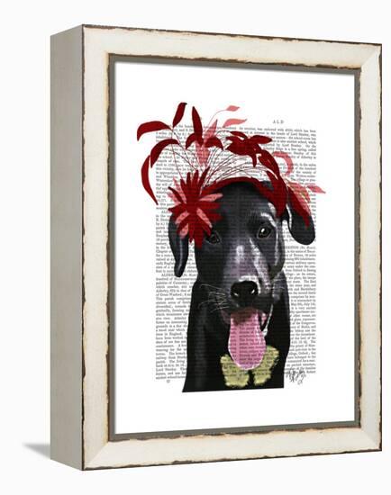 Black Labrador with Red Fascinator-Fab Funky-Framed Stretched Canvas