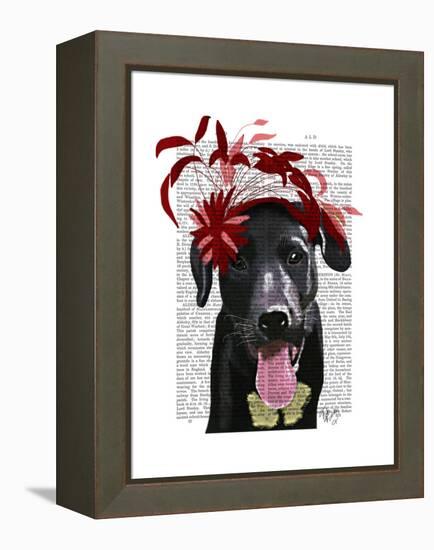 Black Labrador with Red Fascinator-Fab Funky-Framed Stretched Canvas