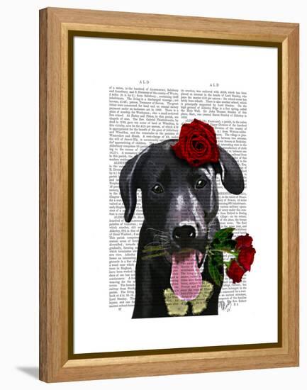 Black Labrador with Roses-Fab Funky-Framed Stretched Canvas