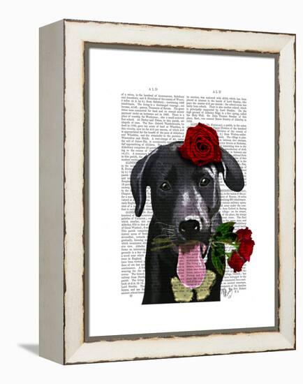 Black Labrador with Roses-Fab Funky-Framed Stretched Canvas