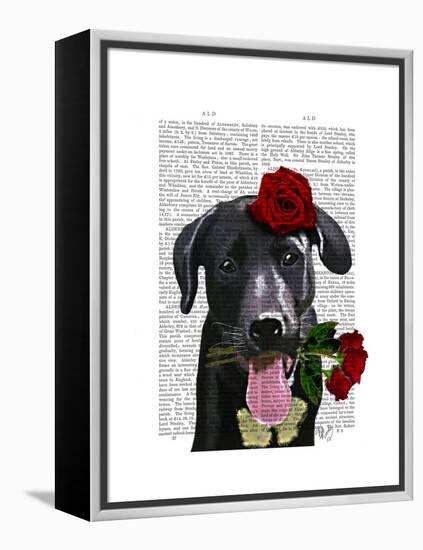 Black Labrador with Roses-Fab Funky-Framed Stretched Canvas