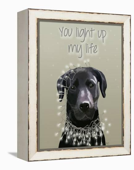 Black Labrador, You Light Up-Fab Funky-Framed Stretched Canvas