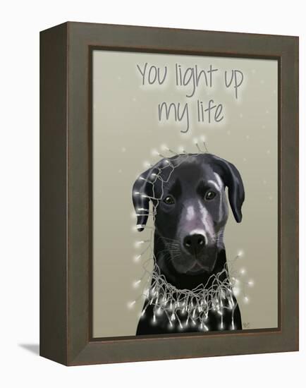 Black Labrador, You Light Up-Fab Funky-Framed Stretched Canvas