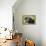 Black Labrador.-Savanah Stewart-Framed Premier Image Canvas displayed on a wall