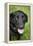 Black Labrador.-Savanah Stewart-Framed Premier Image Canvas