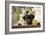 Black Labrador-claire norman-Framed Photographic Print