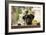 Black Labrador-claire norman-Framed Photographic Print