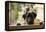 Black Labrador-claire norman-Framed Premier Image Canvas