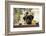 Black Labrador-claire norman-Framed Photographic Print