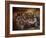 Black Last Supper-Bev Lopez-Framed Art Print