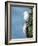 Black-Legged Kittiwake-null-Framed Photographic Print