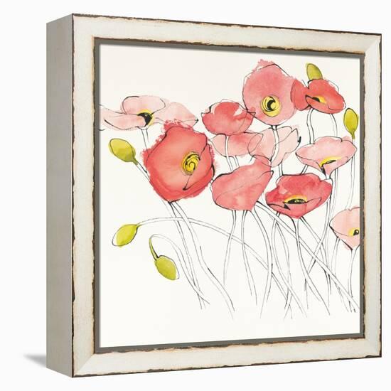 Black Line Poppies I Watercolor-Shirley Novak-Framed Stretched Canvas