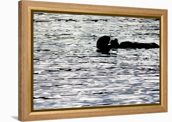 Black Lite Otter Eating Crab-Latitude 59 LLP-Framed Premier Image Canvas