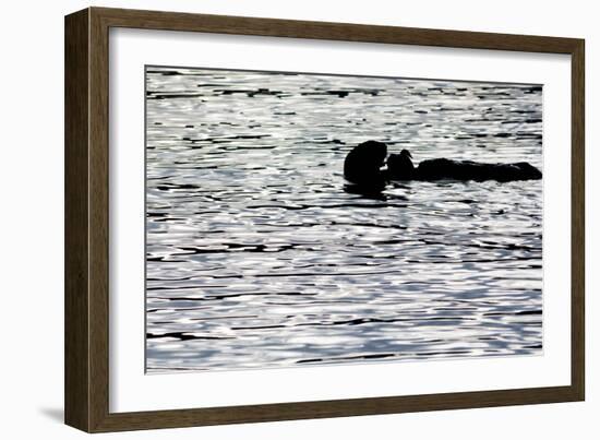 Black Lite Otter Eating Crab-Latitude 59 LLP-Framed Photographic Print