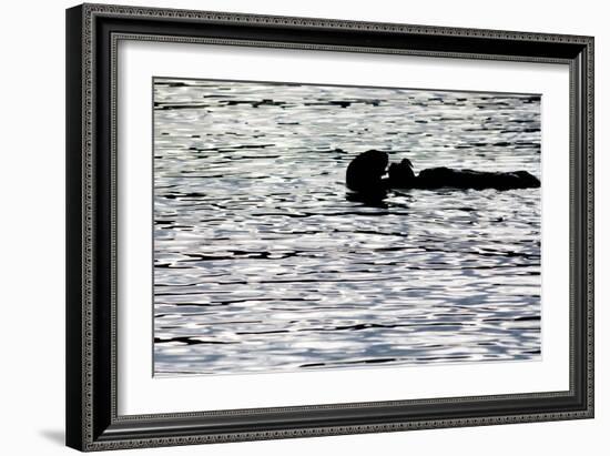 Black Lite Otter Eating Crab-Latitude 59 LLP-Framed Photographic Print