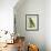 Black-Lored Parrot-Georges-Louis Buffon-Framed Giclee Print displayed on a wall