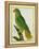 Black-Lored Parrot-Georges-Louis Buffon-Framed Premier Image Canvas