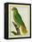 Black-Lored Parrot-Georges-Louis Buffon-Framed Premier Image Canvas