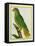 Black-Lored Parrot-Georges-Louis Buffon-Framed Premier Image Canvas