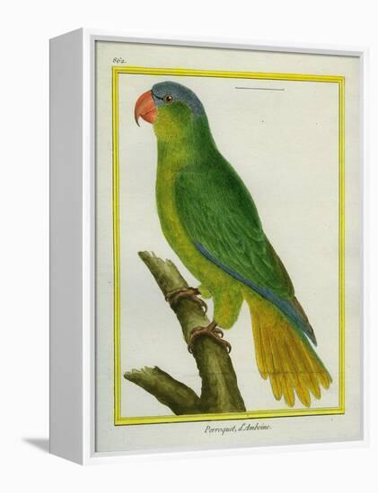 Black-Lored Parrot-Georges-Louis Buffon-Framed Premier Image Canvas