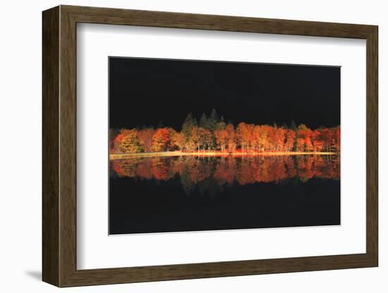 Black Magic-Philippe Sainte-Laudy-Framed Photographic Print