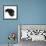 Black Male Cat, Joey, 6 Months, Rollling on Back-Mark Taylor-Framed Photographic Print displayed on a wall