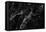 Black Marble Texture, Detailed Structure of Marble for Design.-noppadon sangpeam-Framed Premier Image Canvas