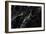 Black Marble Texture, Detailed Structure of Marble for Design.-noppadon sangpeam-Framed Photographic Print