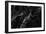 Black Marble Texture, Detailed Structure of Marble for Design.-noppadon sangpeam-Framed Photographic Print