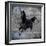 Black Mare 1-LightBoxJournal-Framed Giclee Print