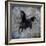 Black Mare 1-LightBoxJournal-Framed Giclee Print