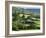 Black Mountains Near Bwlch, Powys, Wales, United Kingdom, Europe-Rob Cousins-Framed Photographic Print