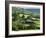 Black Mountains Near Bwlch, Powys, Wales, United Kingdom, Europe-Rob Cousins-Framed Photographic Print