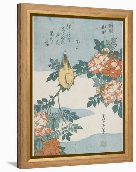 Black-Naped Oriole and China Rose, C. 1833-Katsushika Hokusai-Framed Premier Image Canvas