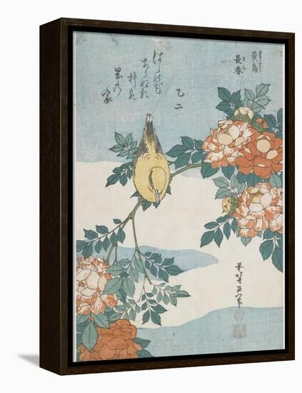Black-Naped Oriole and China Rose, C. 1833-Katsushika Hokusai-Framed Premier Image Canvas