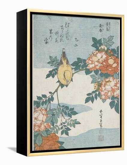 Black-Naped Oriole and China Rose, C. 1833-Katsushika Hokusai-Framed Premier Image Canvas