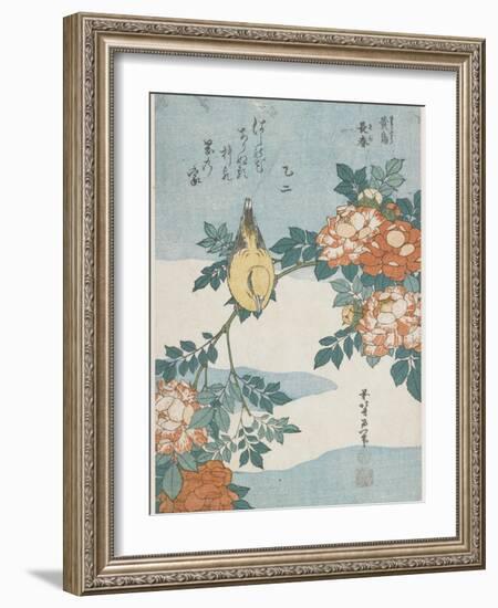 Black-Naped Oriole and China Rose, C. 1833-Katsushika Hokusai-Framed Giclee Print