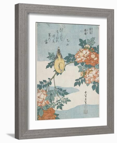 Black-Naped Oriole and China Rose, C. 1833-Katsushika Hokusai-Framed Giclee Print