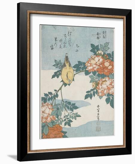 Black-Naped Oriole and China Rose, C. 1833-Katsushika Hokusai-Framed Giclee Print