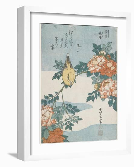 Black-Naped Oriole and China Rose, C. 1833-Katsushika Hokusai-Framed Giclee Print