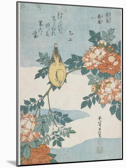 Black-Naped Oriole and China Rose, C. 1833-Katsushika Hokusai-Mounted Giclee Print