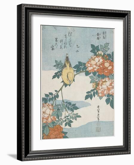 Black-Naped Oriole and China Rose, C. 1833-Katsushika Hokusai-Framed Giclee Print