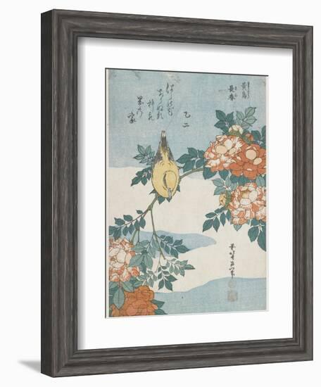 Black-Naped Oriole and China Rose, C. 1833-Katsushika Hokusai-Framed Giclee Print