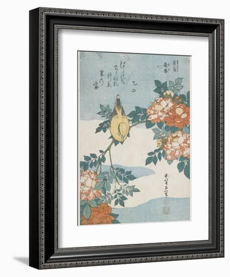 Black-Naped Oriole and China Rose, C. 1833-Katsushika Hokusai-Framed Giclee Print