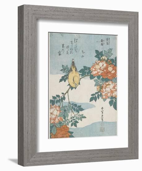 Black-Naped Oriole and China Rose, C. 1833-Katsushika Hokusai-Framed Premium Giclee Print