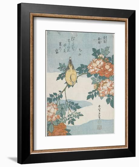 Black-Naped Oriole and China Rose, C. 1833-Katsushika Hokusai-Framed Premium Giclee Print