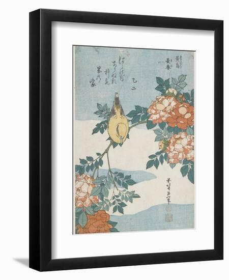 Black-Naped Oriole and China Rose, C. 1833-Katsushika Hokusai-Framed Premium Giclee Print